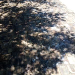 Meet your Posher, Jerome